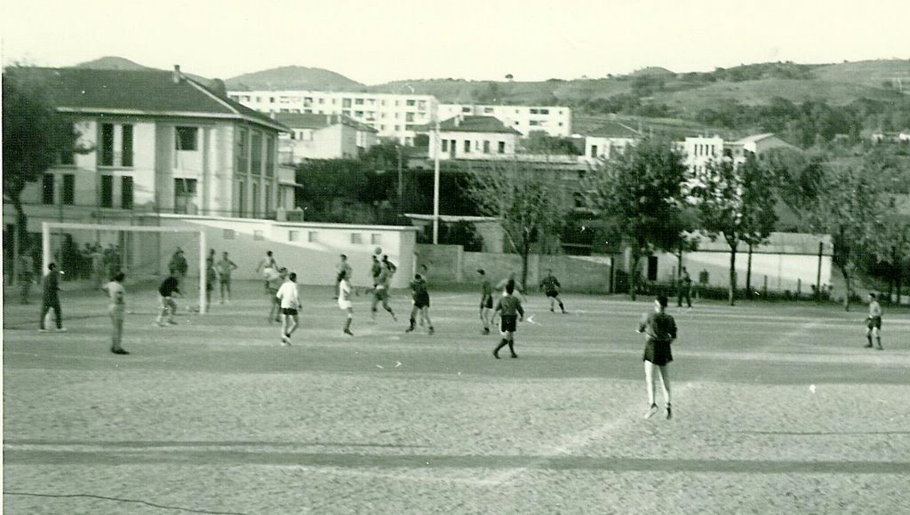 3109.jpg