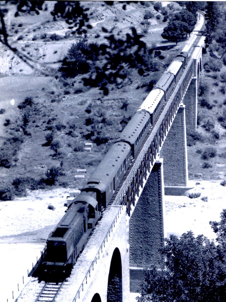 train12.JPG