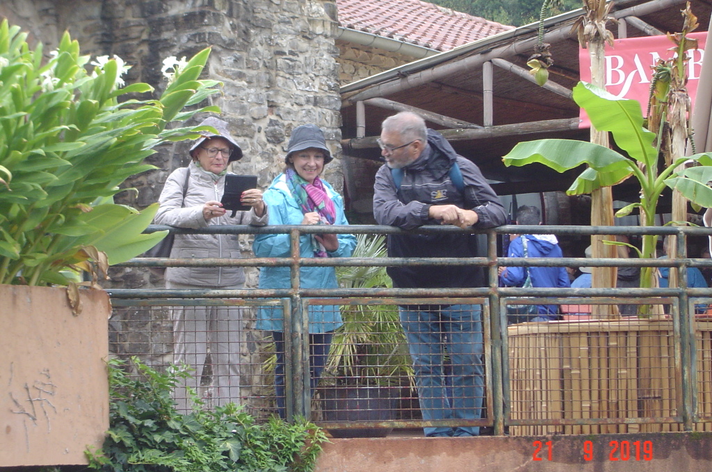 DSC08557.JPG