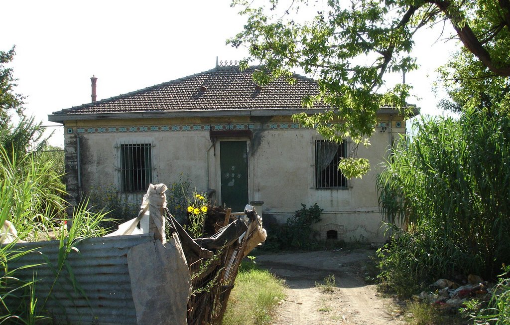 MaisonSieglerRoger.JPG