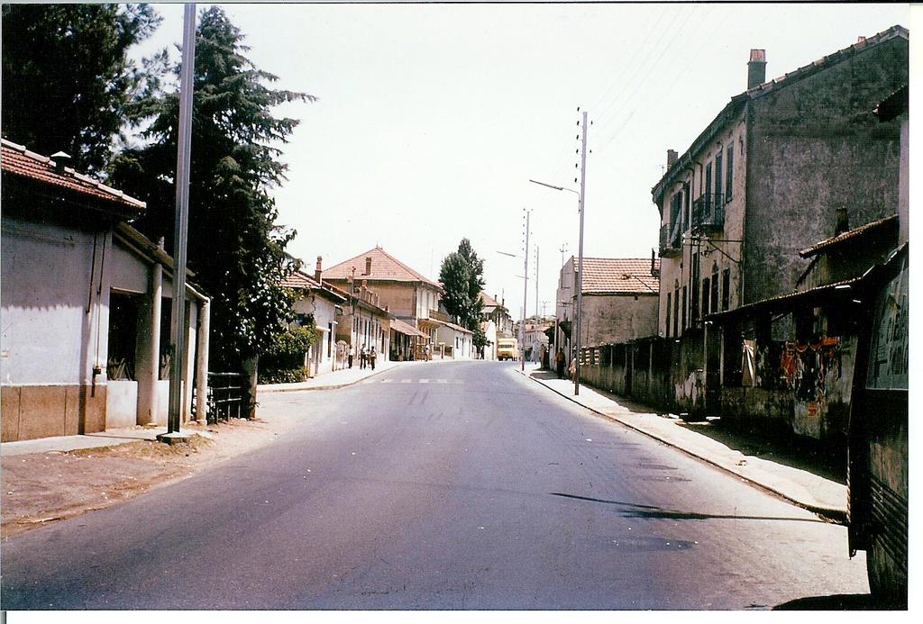 003.jpg