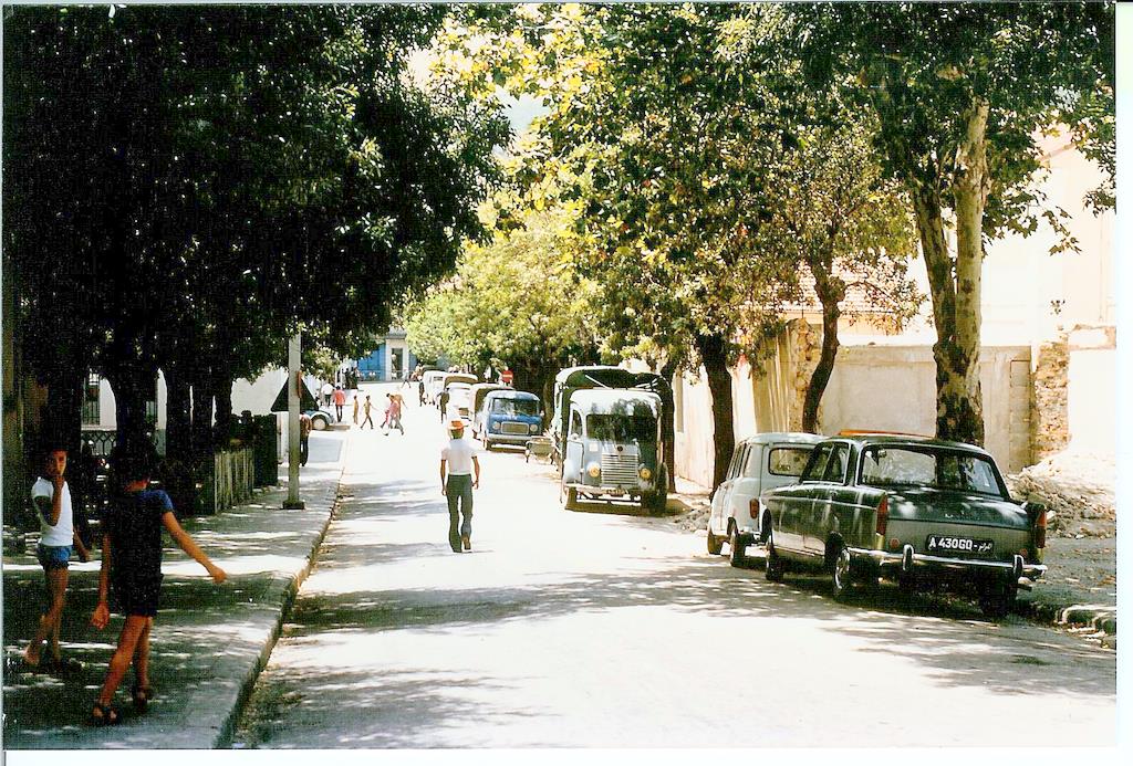 009.jpg