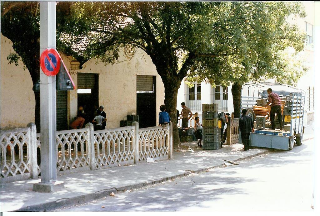 010.jpg