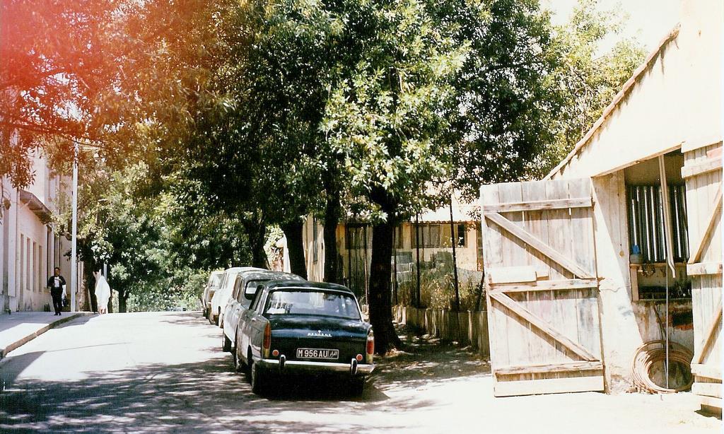 023.jpg