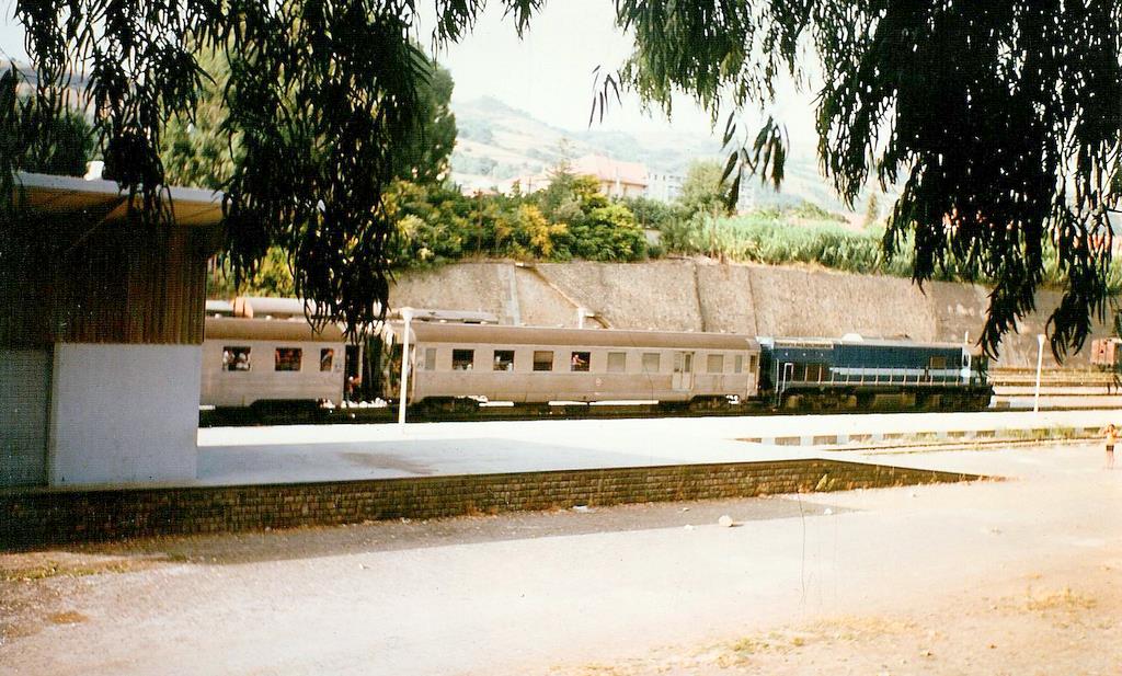 031.jpg