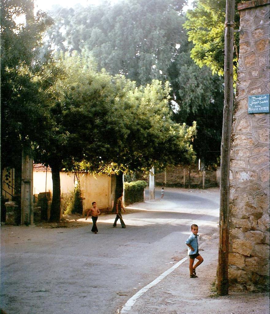 035.jpg
