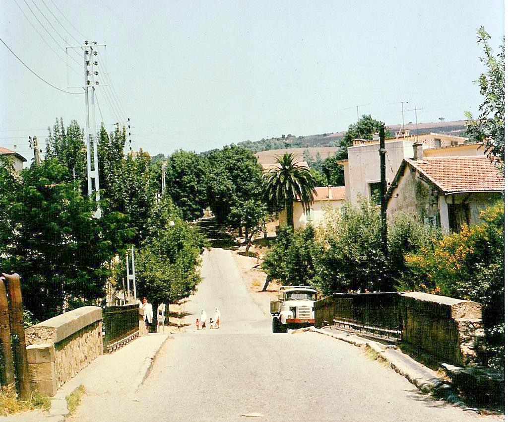 040.jpg