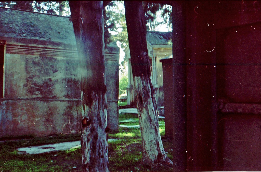 cimetiere11.jpg
