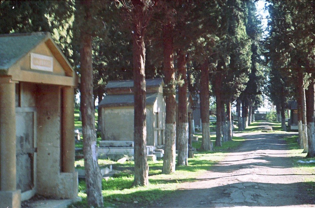 cimetiere12.jpg