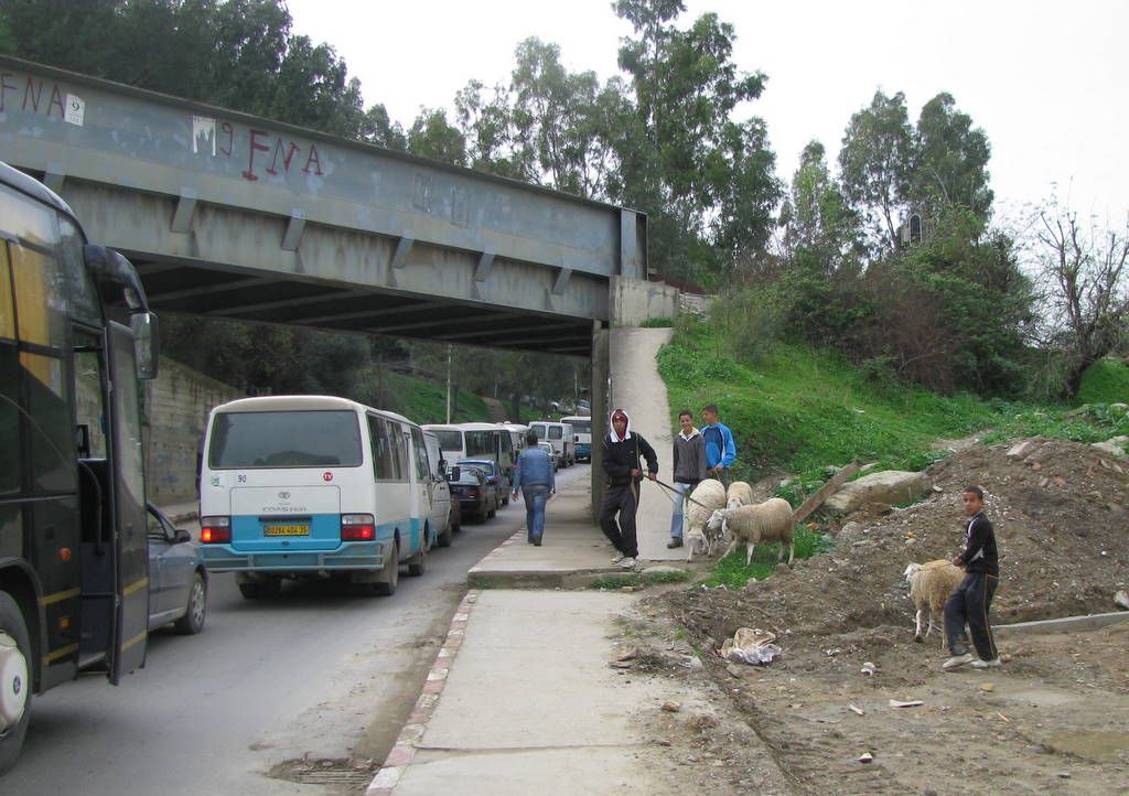KIMG_0010.JPG
