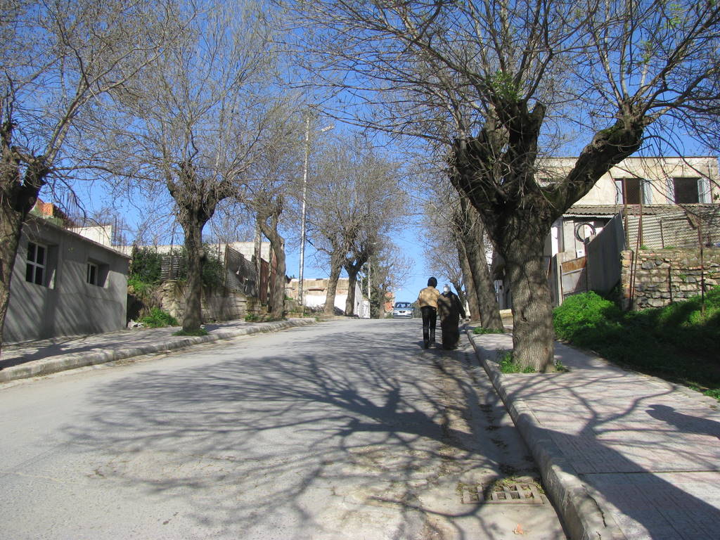 KIMG_0024.JPG