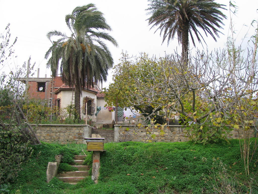 KIMG_0032.JPG