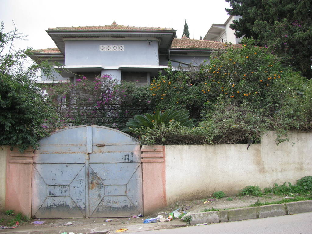 KIMG_0040.JPG