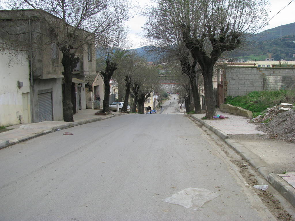 KIMG_0050.JPG