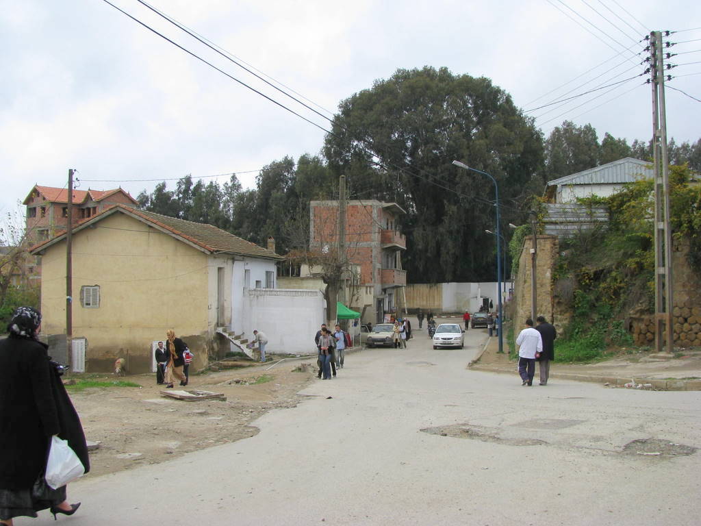 SIMG_1007.JPG