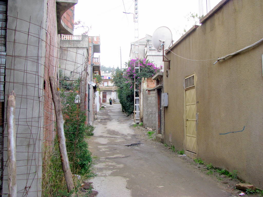 Rue-Guynemer-1.JPG