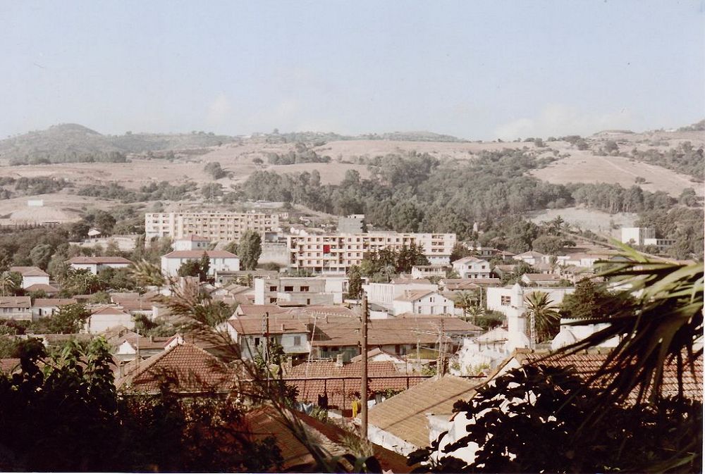 vue_82.jpg