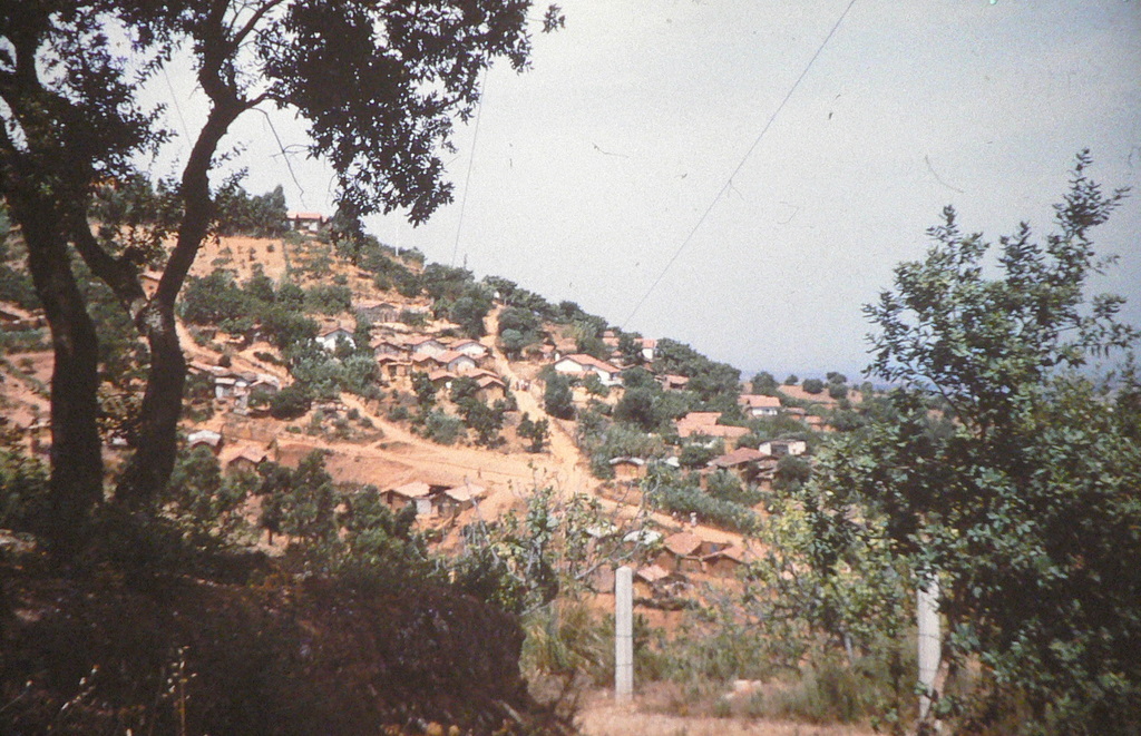 diapo3.JPG