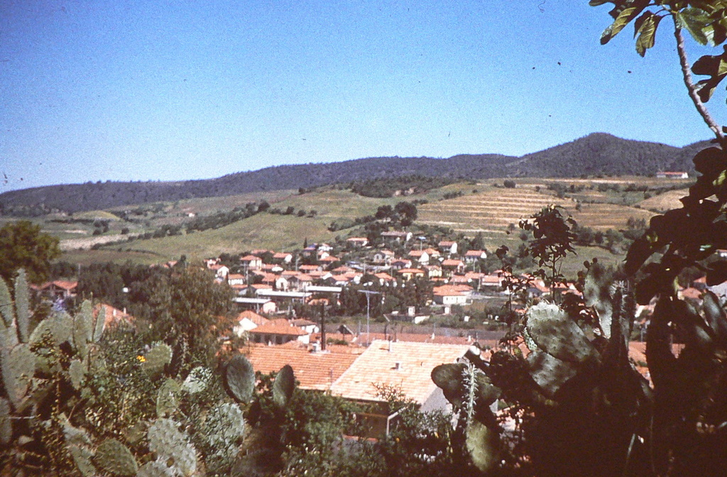 diapo4.JPG