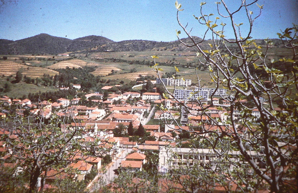 diapo6.JPG